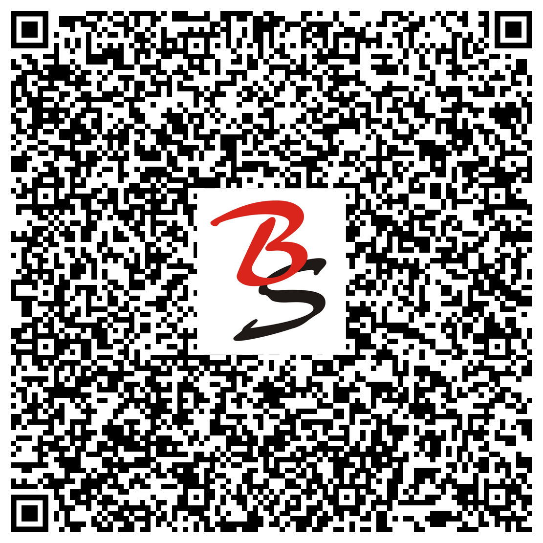 Kontaktdaten VCard QR-Code Borgs&Schwarz GmbH